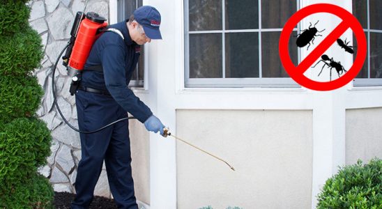 Etimesgut Haşere İlaçlama böcek ilaçlama ve haşere kontrolü — ilaclama-tr.com